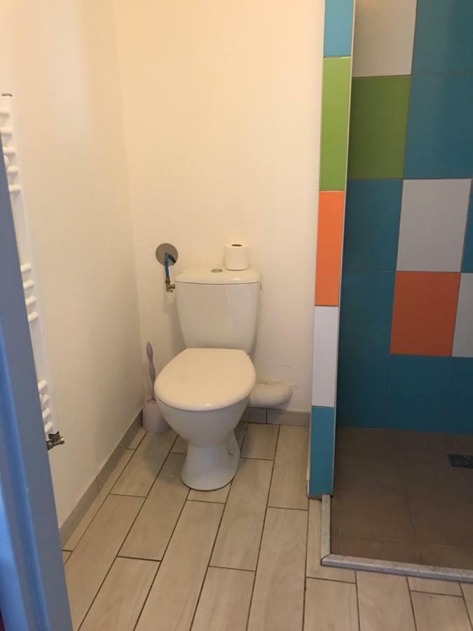 Les Studines Apartment Roanne Luaran gambar